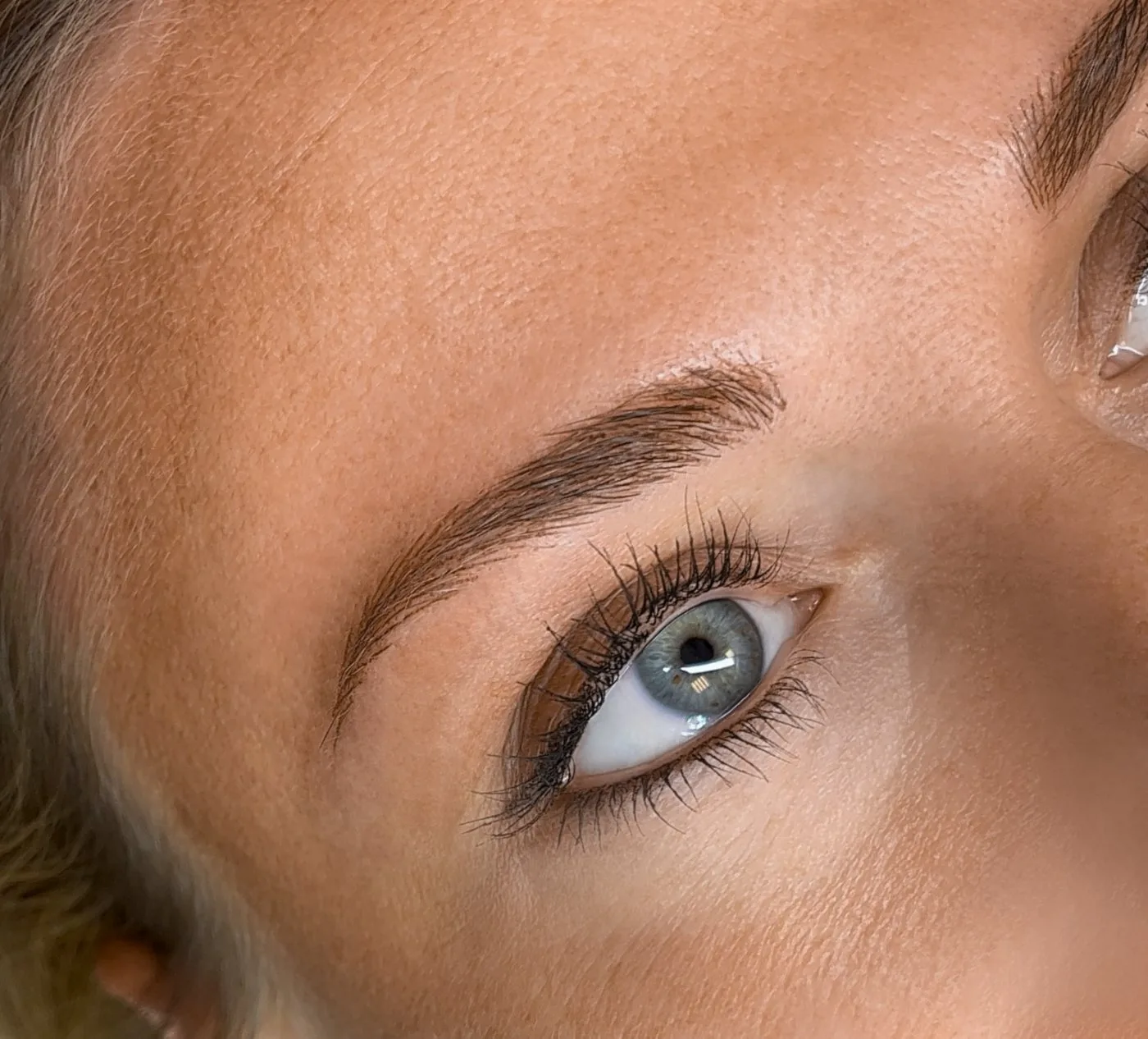 Augenbraue und Wimpern, Ergebnis aus dem Studio